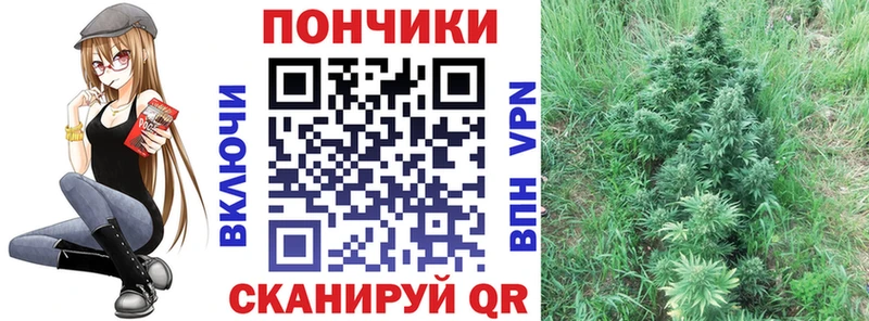 Купить где  Липецк  Бошки марихуана MAZAR 